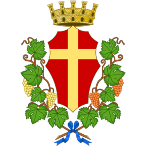 COMUNE DI MESSINA LOGO