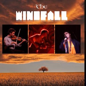 The Windfall musicisti The Windfall musicisti